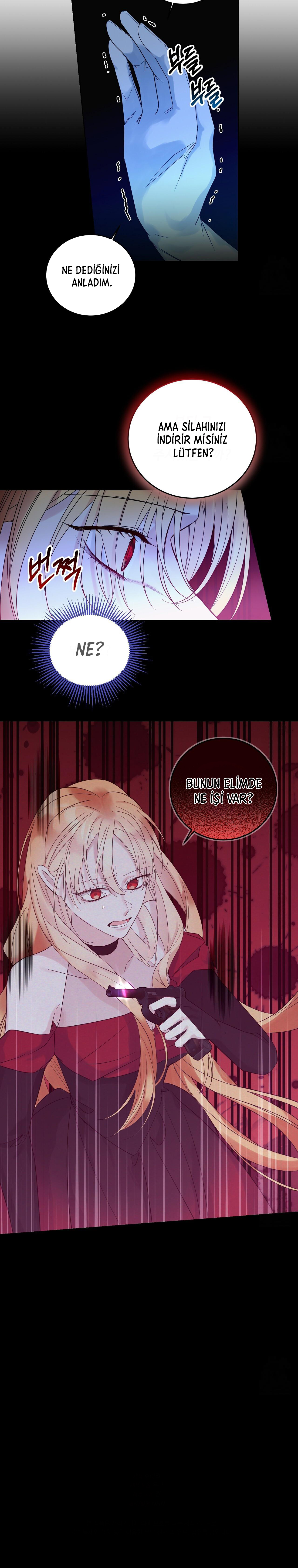 A Happy Ending for Villains Bölüm 71 - Sayfa 11