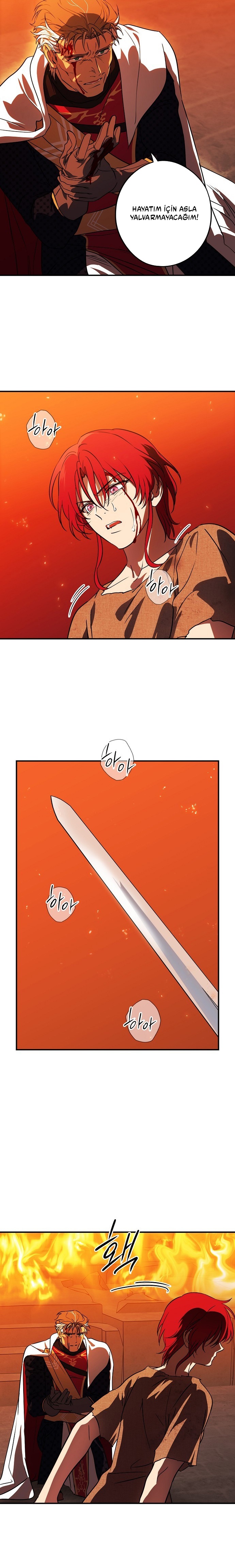 Blinded by the Setting Sun Bölüm 203 - Sayfa 14