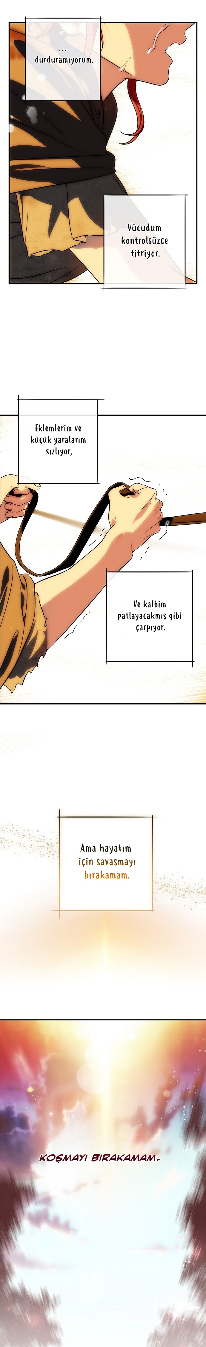 Blinded by the Setting Sun Bölüm 204 - Sayfa 14