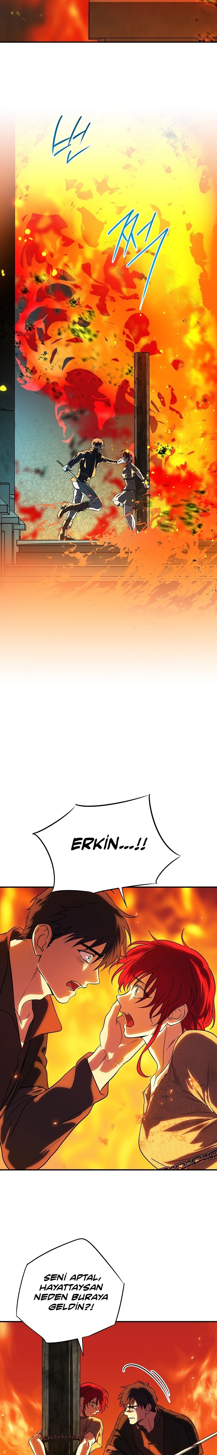 Blinded by the Setting Sun Bölüm 202 - Sayfa 15