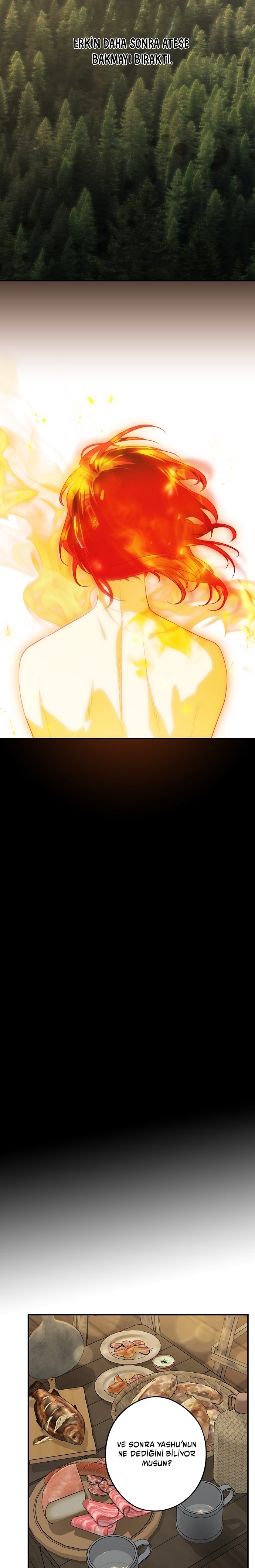 Blinded by the Setting Sun Bölüm 158 - Sayfa 17