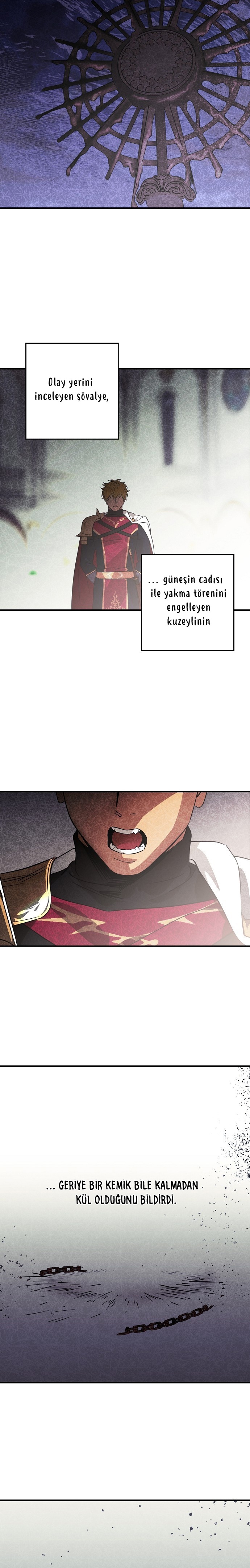 Blinded by the Setting Sun Bölüm 205 - Sayfa 4