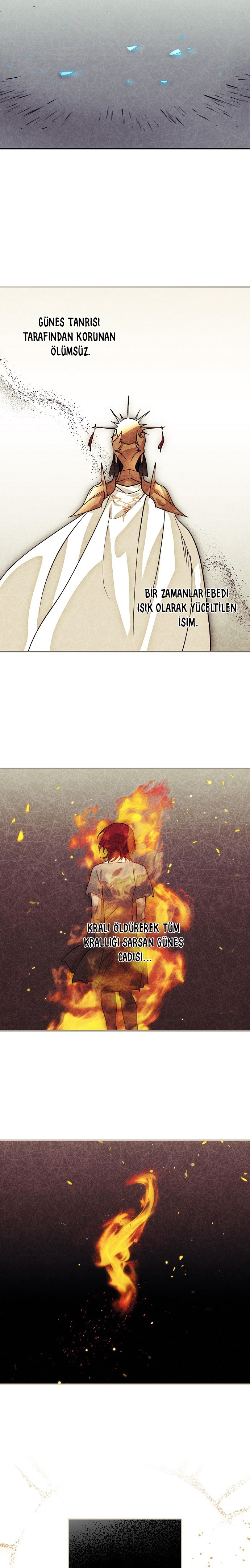 Blinded by the Setting Sun Bölüm 205 - Sayfa 5