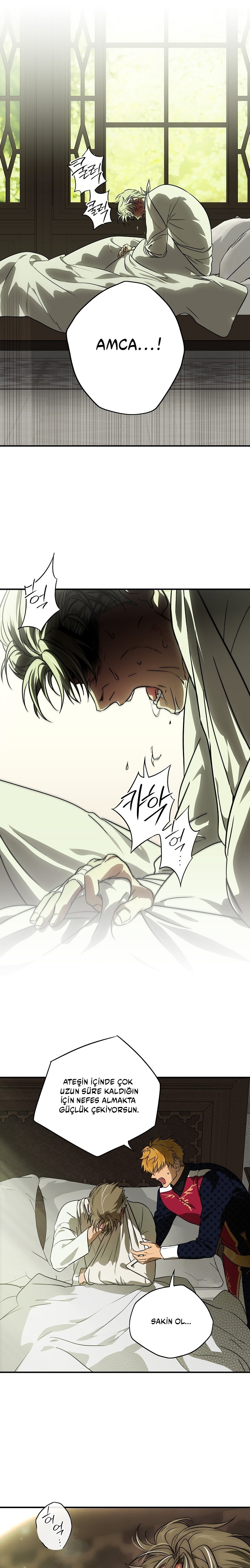 Blinded by the Setting Sun Bölüm 205 - Sayfa 9