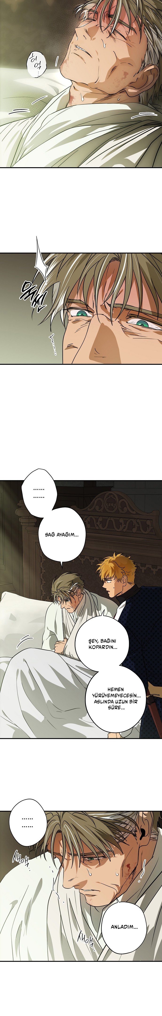 Blinded by the Setting Sun Bölüm 205 - Sayfa 10