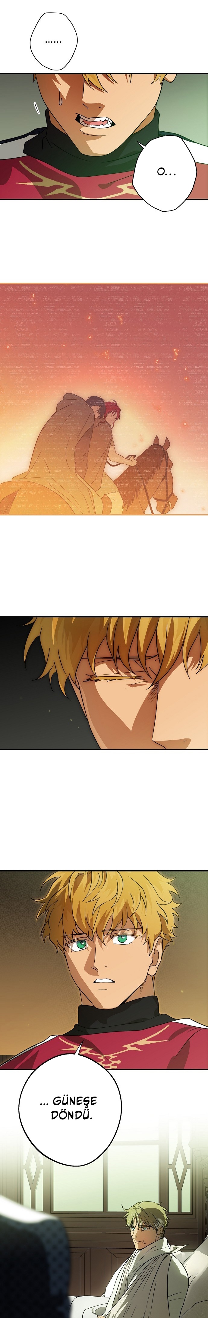 Blinded by the Setting Sun Bölüm 205 - Sayfa 12