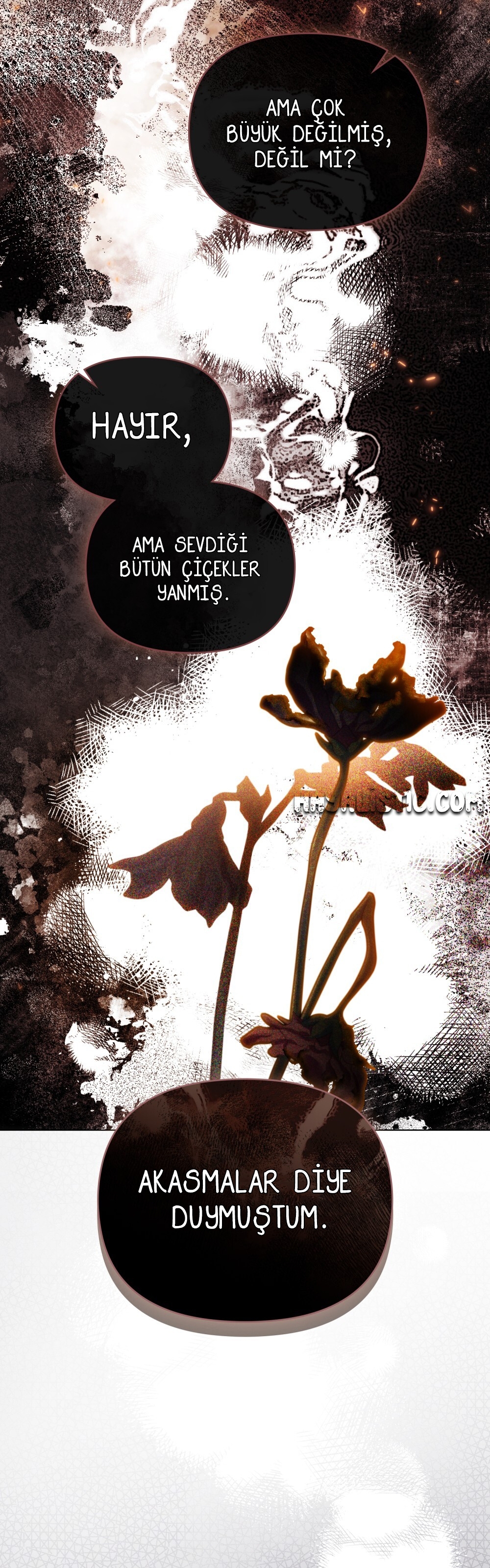 Camellia'nın Peşinde Bölüm 139 - Sayfa 37