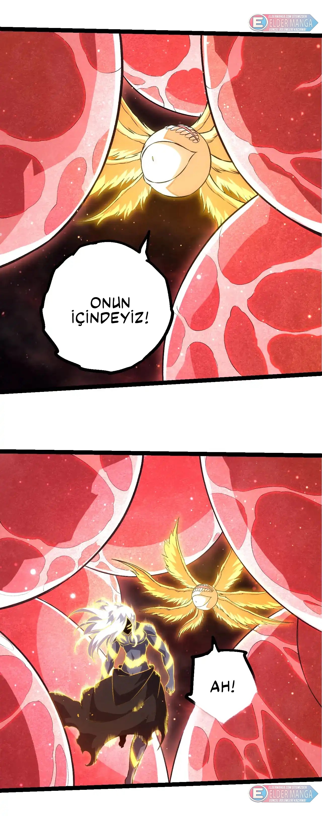 Evrimim Büyük Bir Ağaçla Başladı Bölüm 463 - Sayfa 2