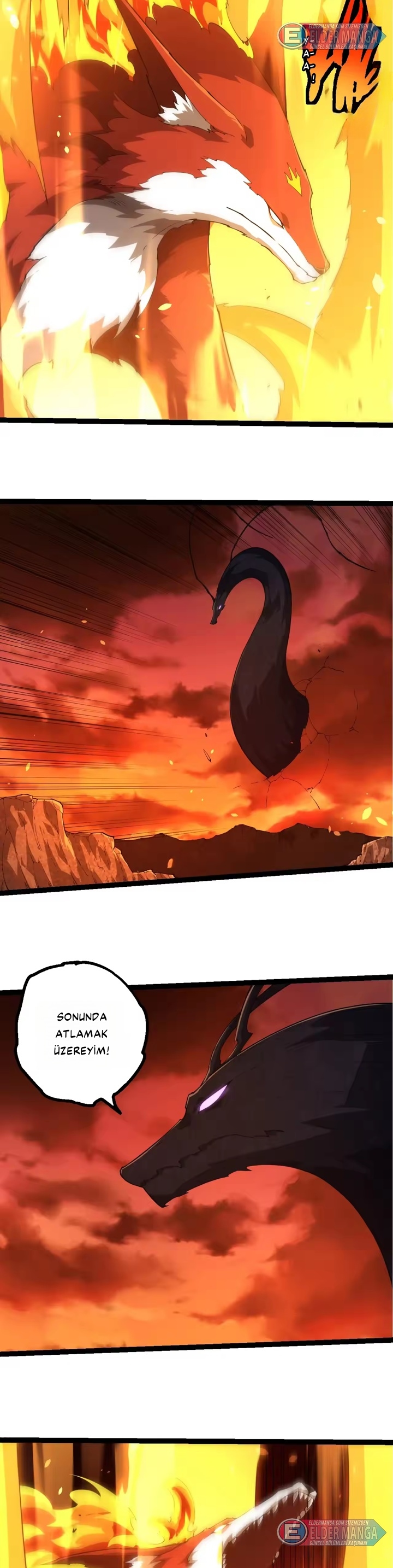 Evrimim Büyük Bir Ağaçla Başladı Bölüm 494 - Sayfa 17