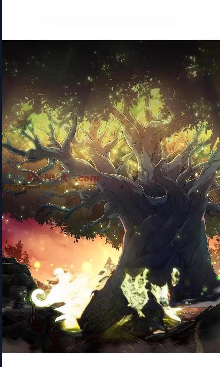 Evrimim Büyük Bir Ağaçla Başladı Bölüm 238 - Sayfa 1