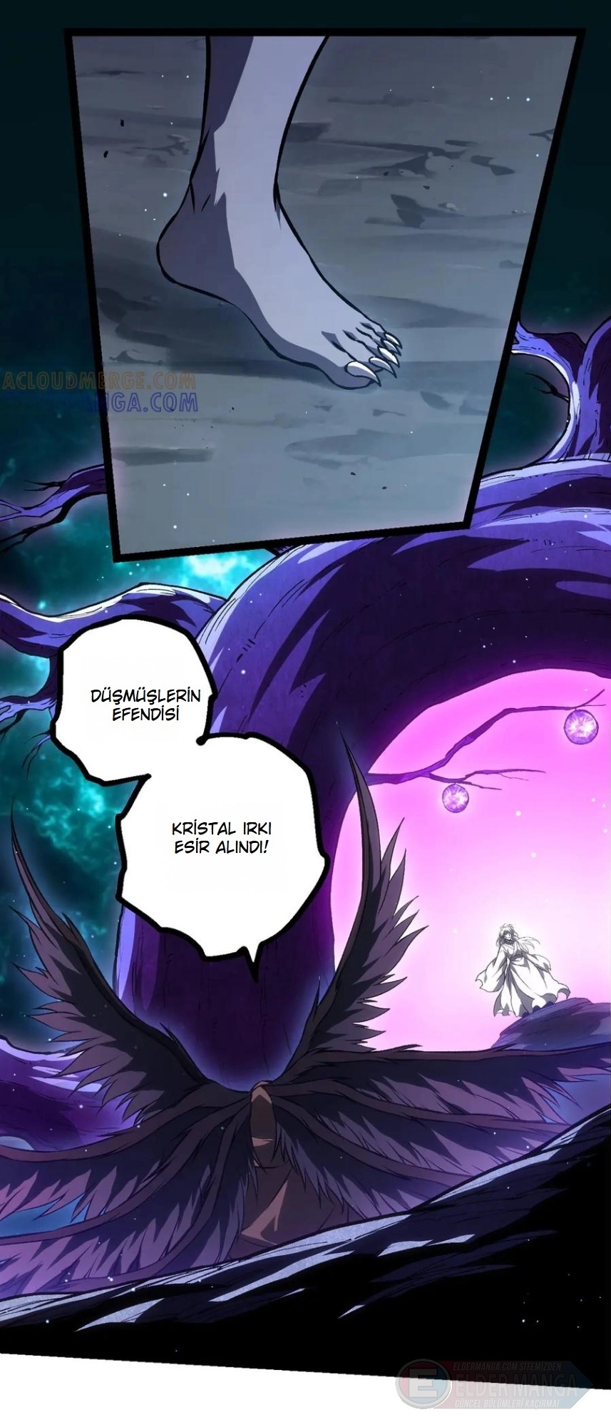 Evrimim Büyük Bir Ağaçla Başladı Bölüm 422 - Sayfa 13