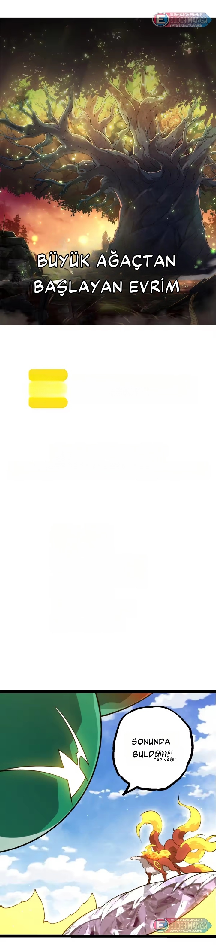Evrimim Büyük Bir Ağaçla Başladı Bölüm 508 - Sayfa 1