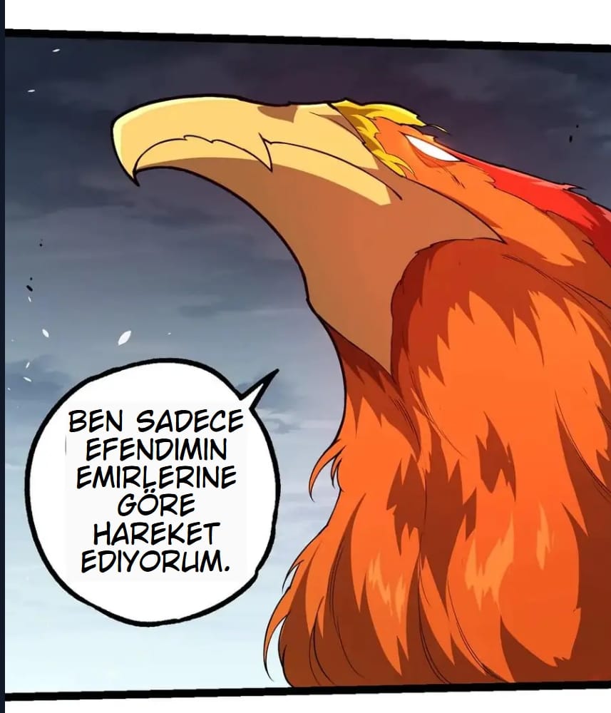 Evrimim Büyük Bir Ağaçla Başladı Bölüm 282 - Sayfa 13