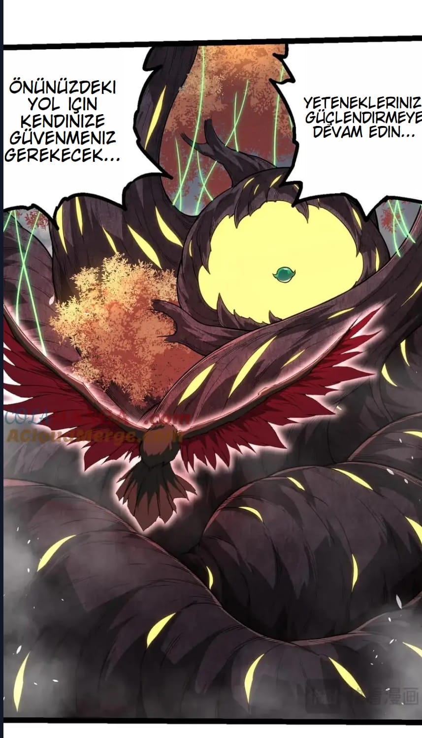 Evrimim Büyük Bir Ağaçla Başladı Bölüm 282 - Sayfa 36