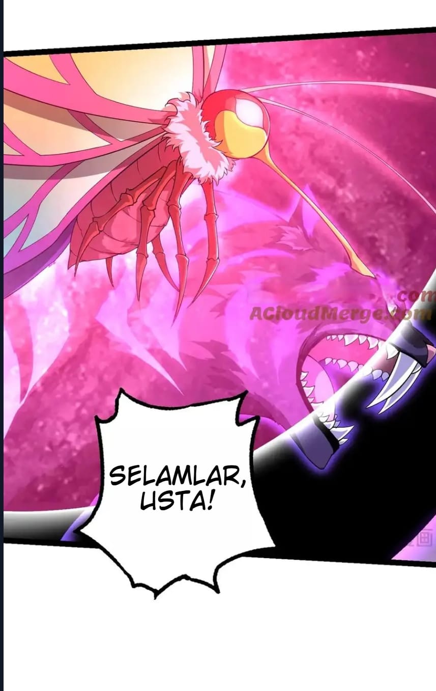 Evrimim Büyük Bir Ağaçla Başladı Bölüm 282 - Sayfa 43