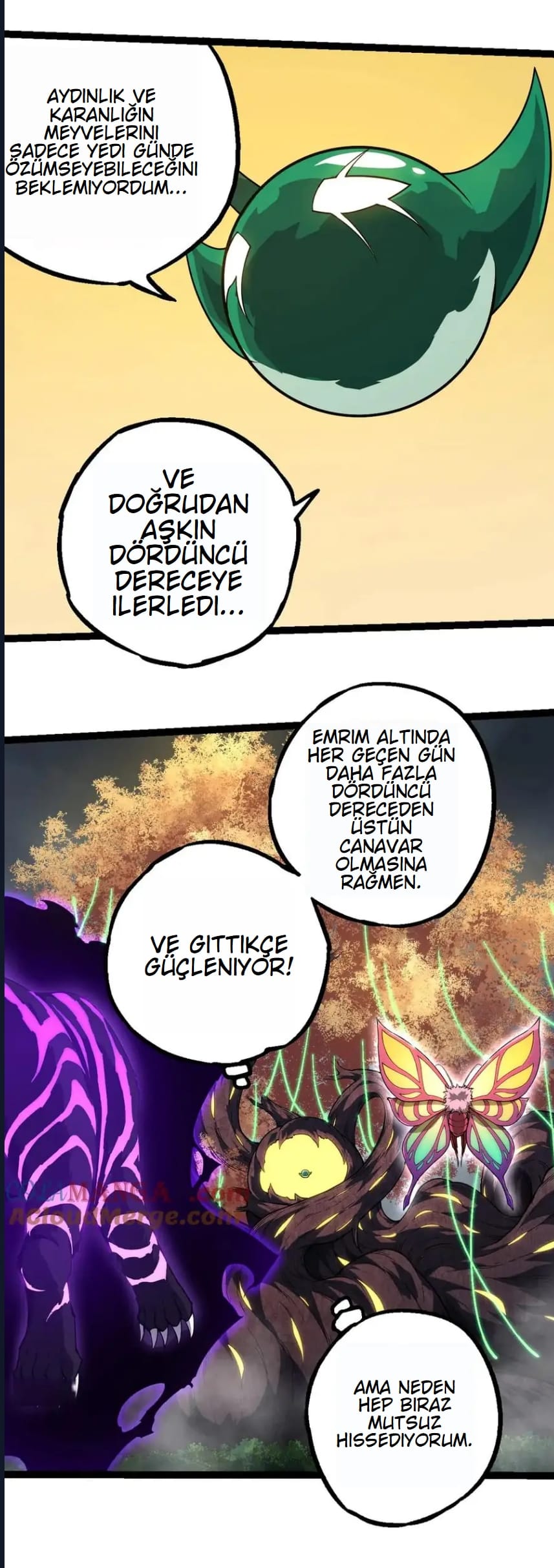 Evrimim Büyük Bir Ağaçla Başladı Bölüm 282 - Sayfa 44