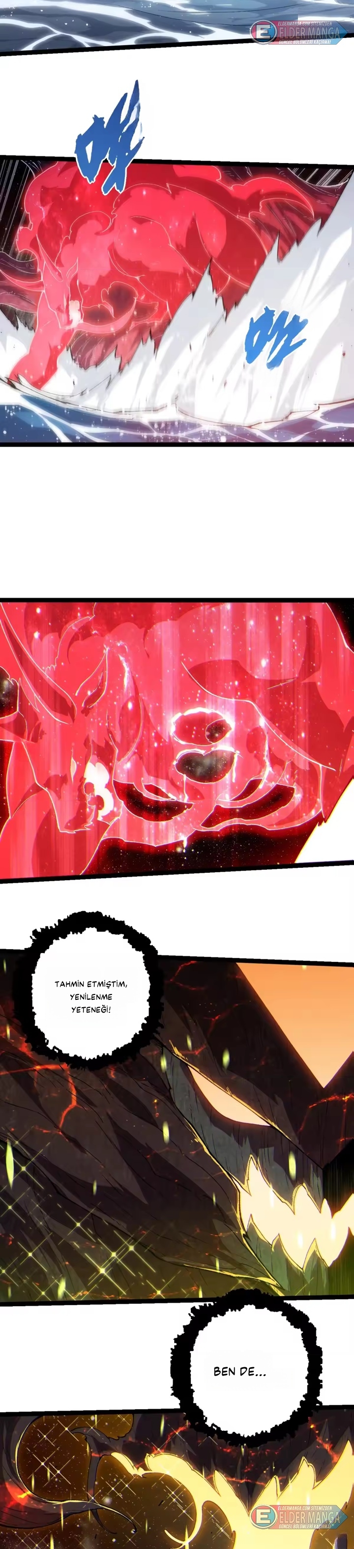 Evrimim Büyük Bir Ağaçla Başladı Bölüm 502 - Sayfa 12