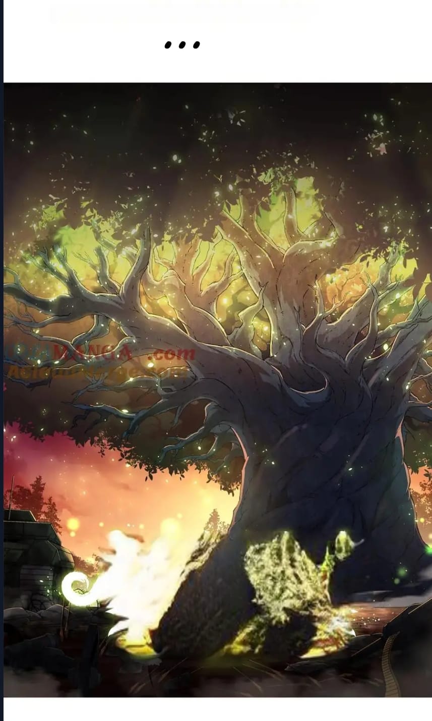 Evrimim Büyük Bir Ağaçla Başladı Bölüm 240 - Sayfa 1