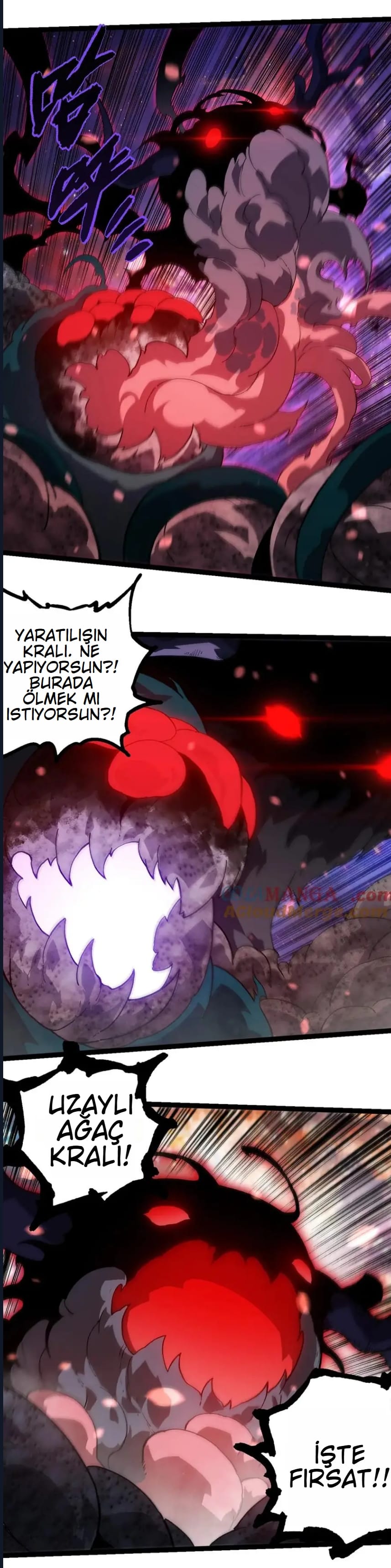 Evrimim Büyük Bir Ağaçla Başladı Bölüm 240 - Sayfa 8