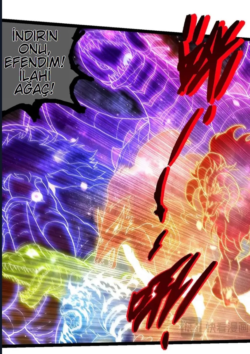 Evrimim Büyük Bir Ağaçla Başladı Bölüm 240 - Sayfa 11