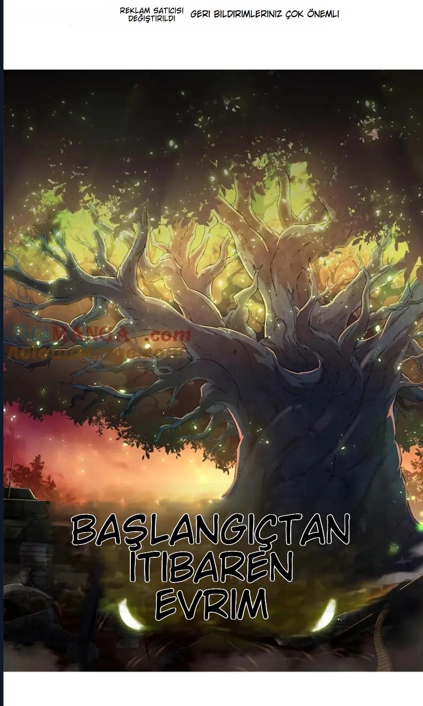 Evrimim Büyük Bir Ağaçla Başladı Bölüm 374 - Sayfa 1