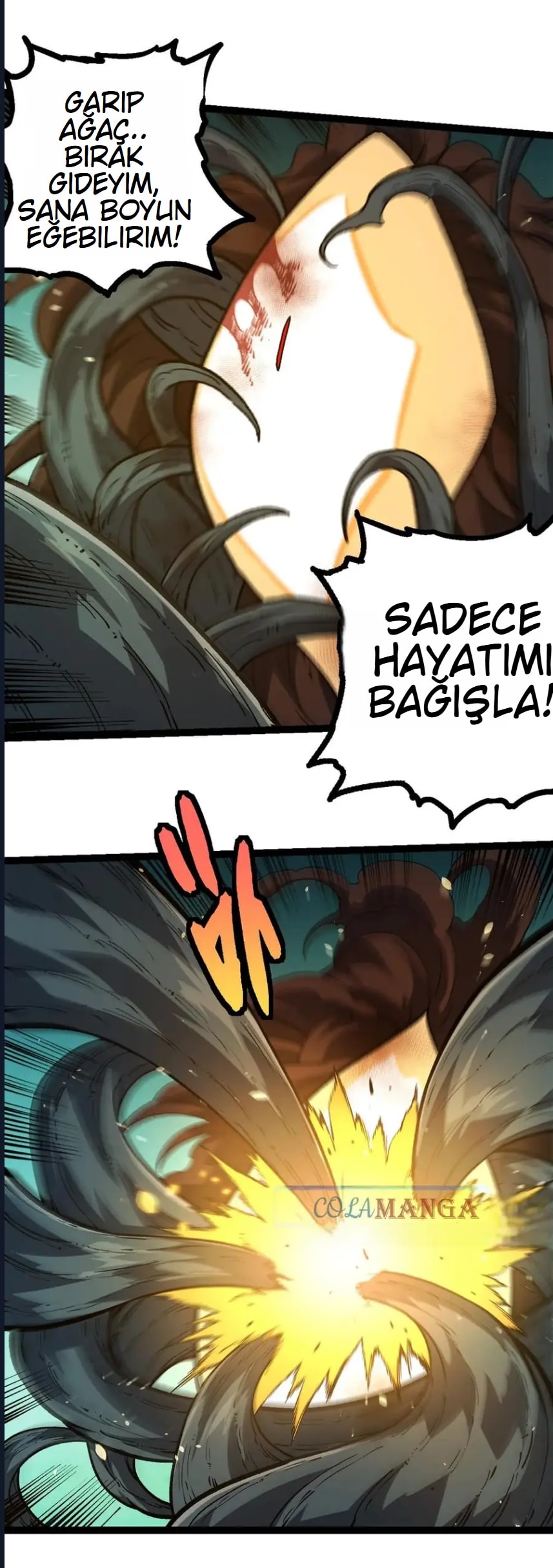 Evrimim Büyük Bir Ağaçla Başladı Bölüm 374 - Sayfa 49