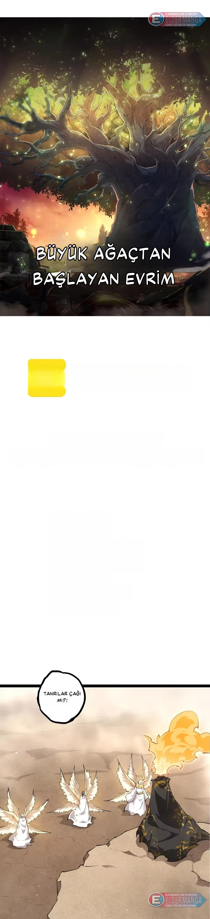 Evrimim Büyük Bir Ağaçla Başladı Bölüm 504 - Sayfa 1