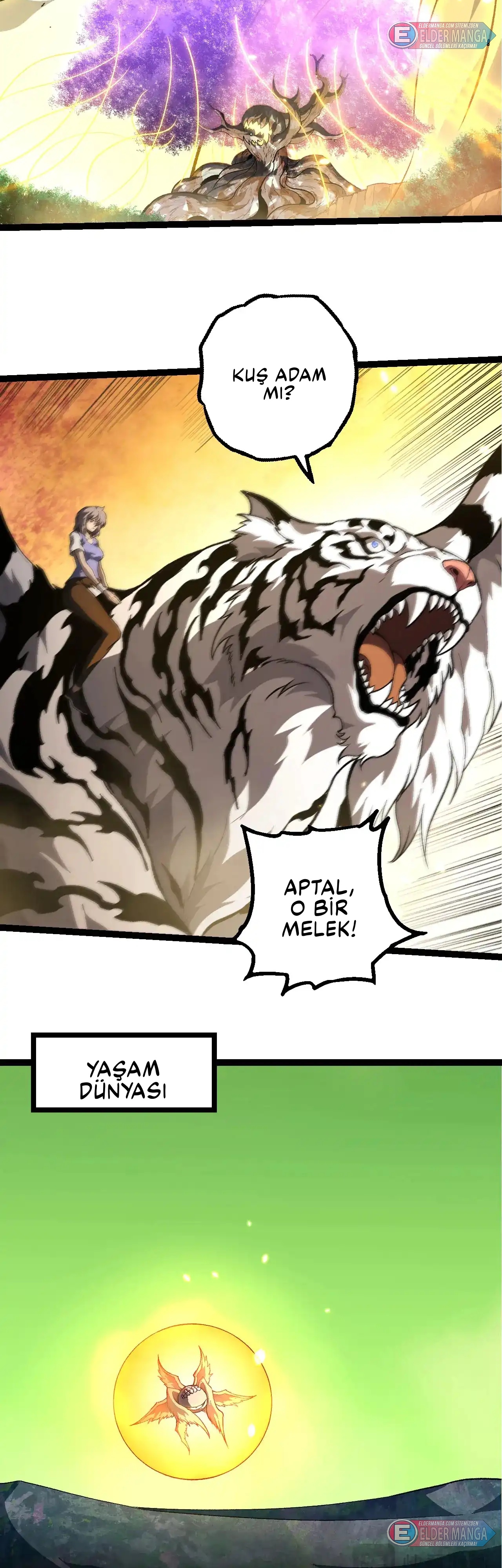 Evrimim Büyük Bir Ağaçla Başladı Bölüm 468 - Sayfa 22