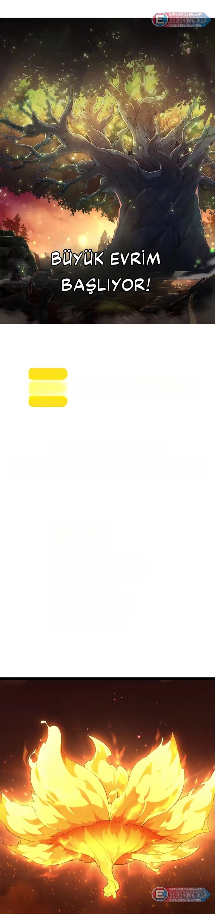 Evrimim Büyük Bir Ağaçla Başladı Bölüm 495 - Sayfa 1