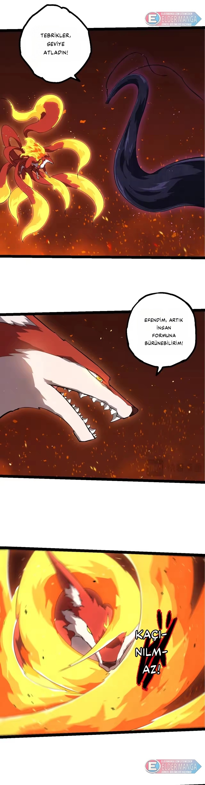 Evrimim Büyük Bir Ağaçla Başladı Bölüm 495 - Sayfa 3