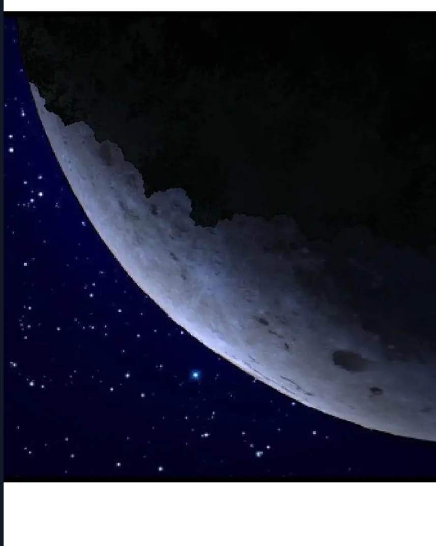 Evrimim Büyük Bir Ağaçla Başladı Bölüm 261 - Sayfa 16