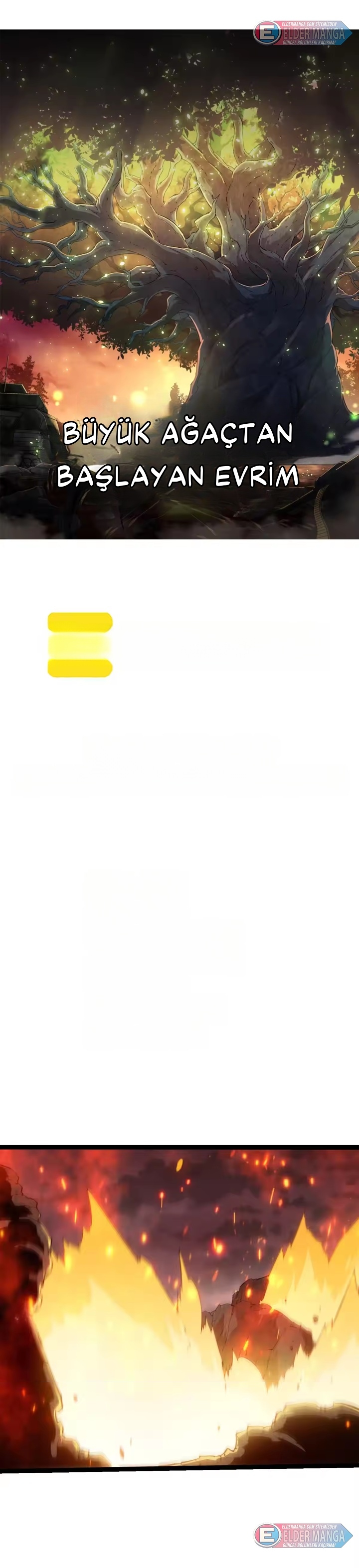 Evrimim Büyük Bir Ağaçla Başladı Bölüm 501 - Sayfa 1