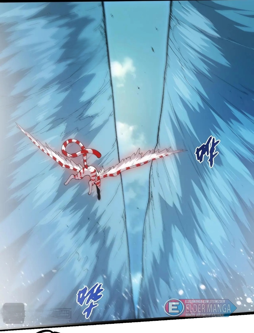 Evrimim Büyük Bir Ağaçla Başladı Bölüm 405 - Sayfa 68