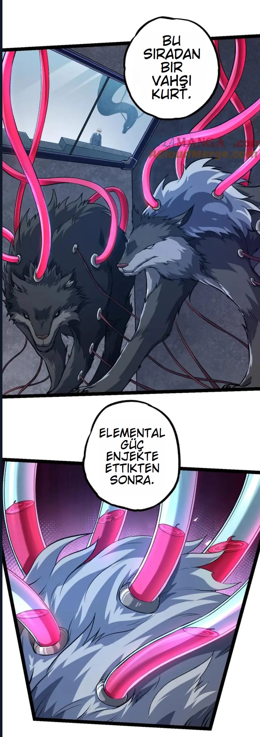 Evrimim Büyük Bir Ağaçla Başladı Bölüm 176 - Sayfa 42