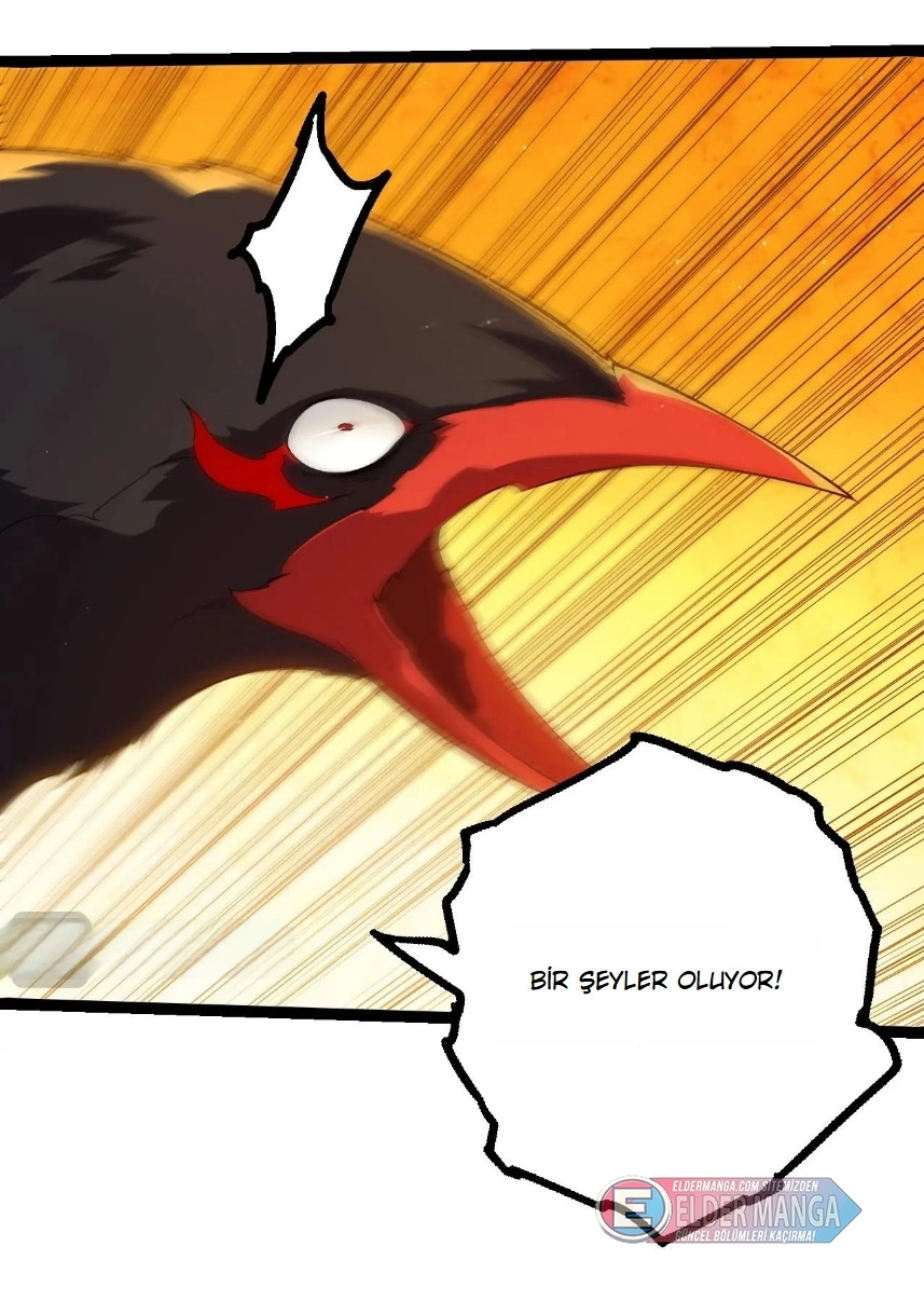 Evrimim Büyük Bir Ağaçla Başladı Bölüm 396 - Sayfa 67