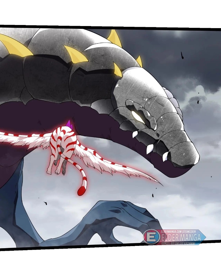 Evrimim Büyük Bir Ağaçla Başladı Bölüm 406 - Sayfa 10