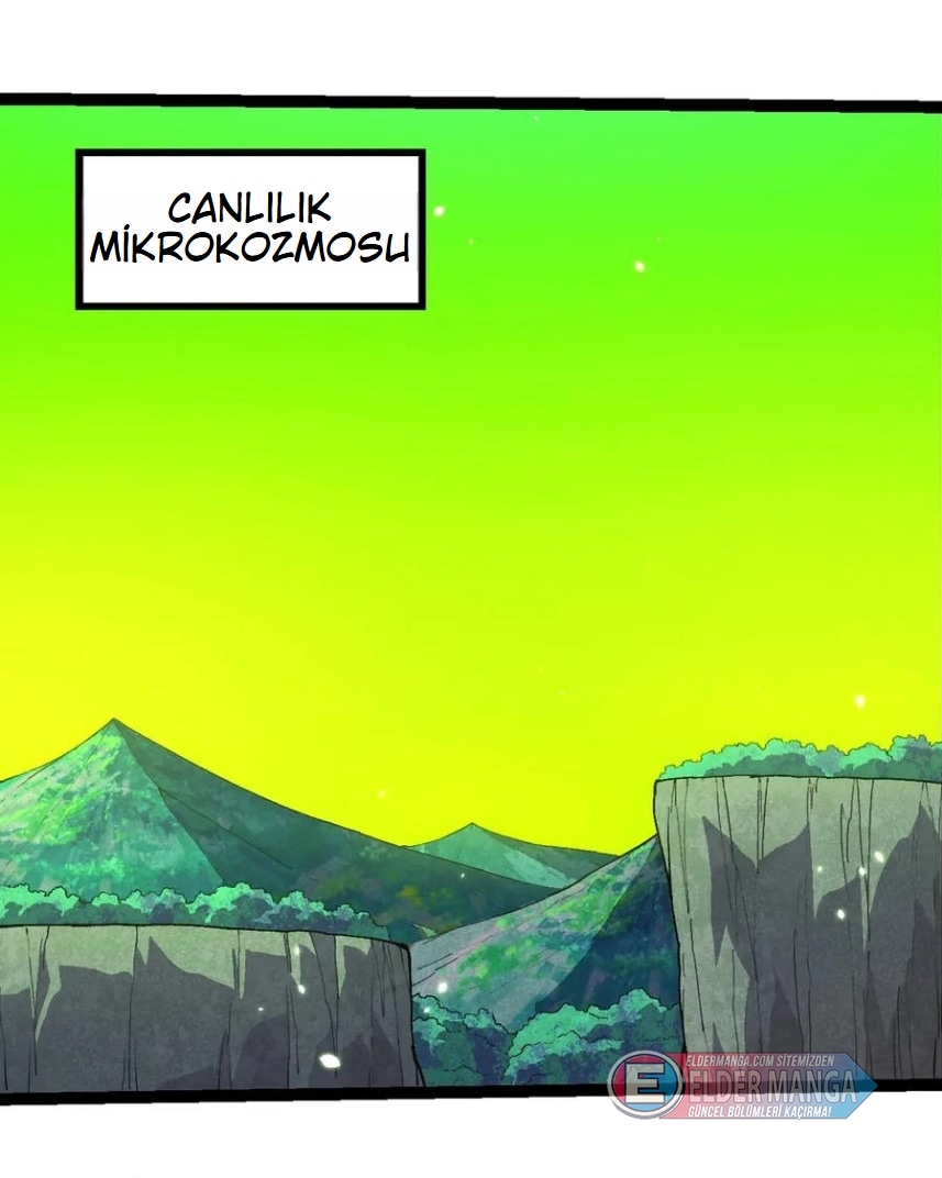 Evrimim Büyük Bir Ağaçla Başladı Bölüm 397 - Sayfa 25