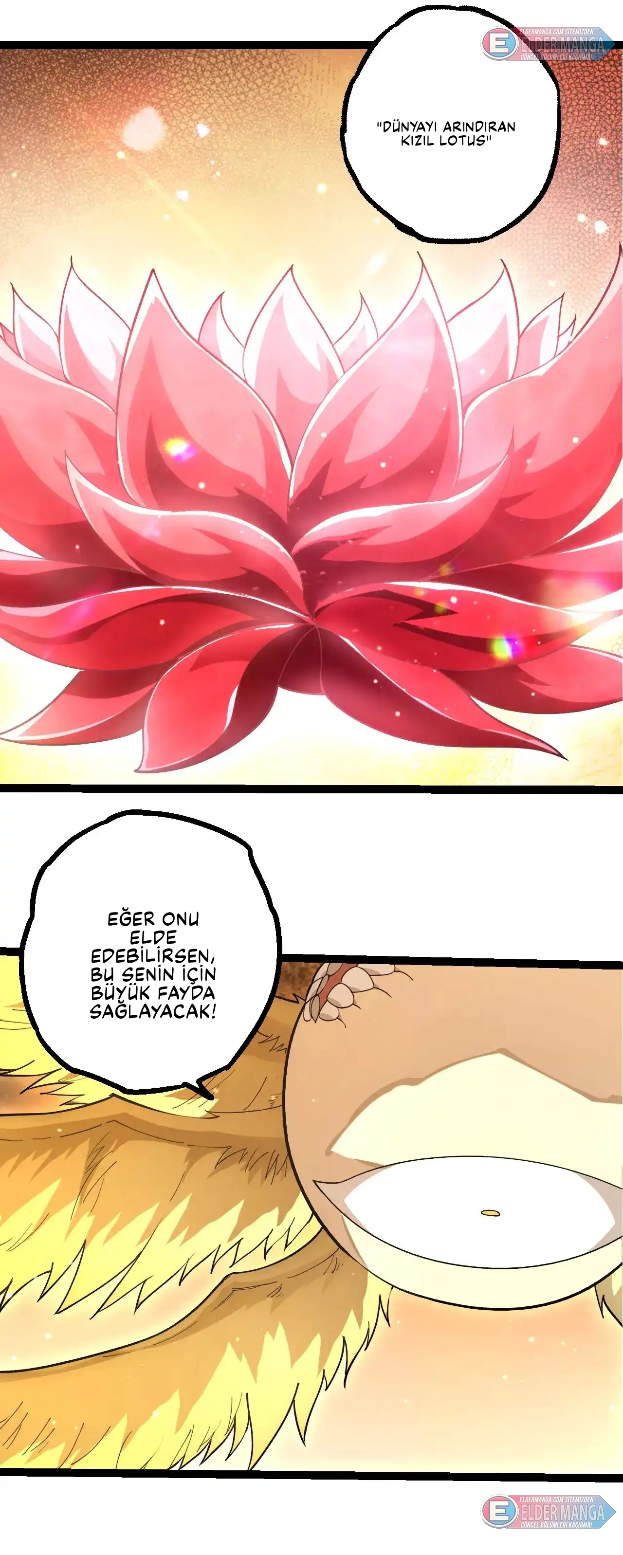 Evrimim Büyük Bir Ağaçla Başladı Bölüm 467 - Sayfa 2