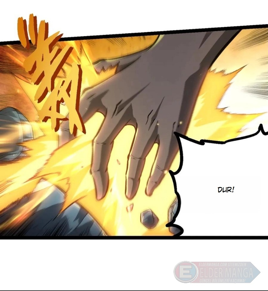 Evrimim Büyük Bir Ağaçla Başladı Bölüm 418 - Sayfa 24