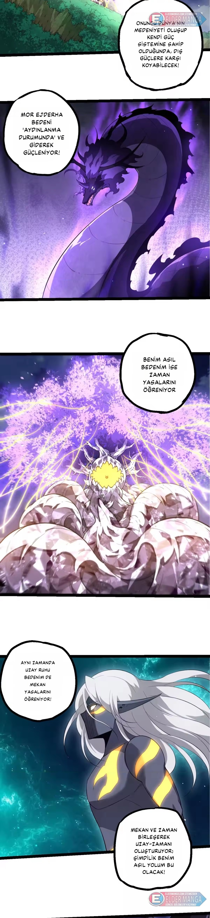 Evrimim Büyük Bir Ağaçla Başladı Bölüm 499 - Sayfa 11