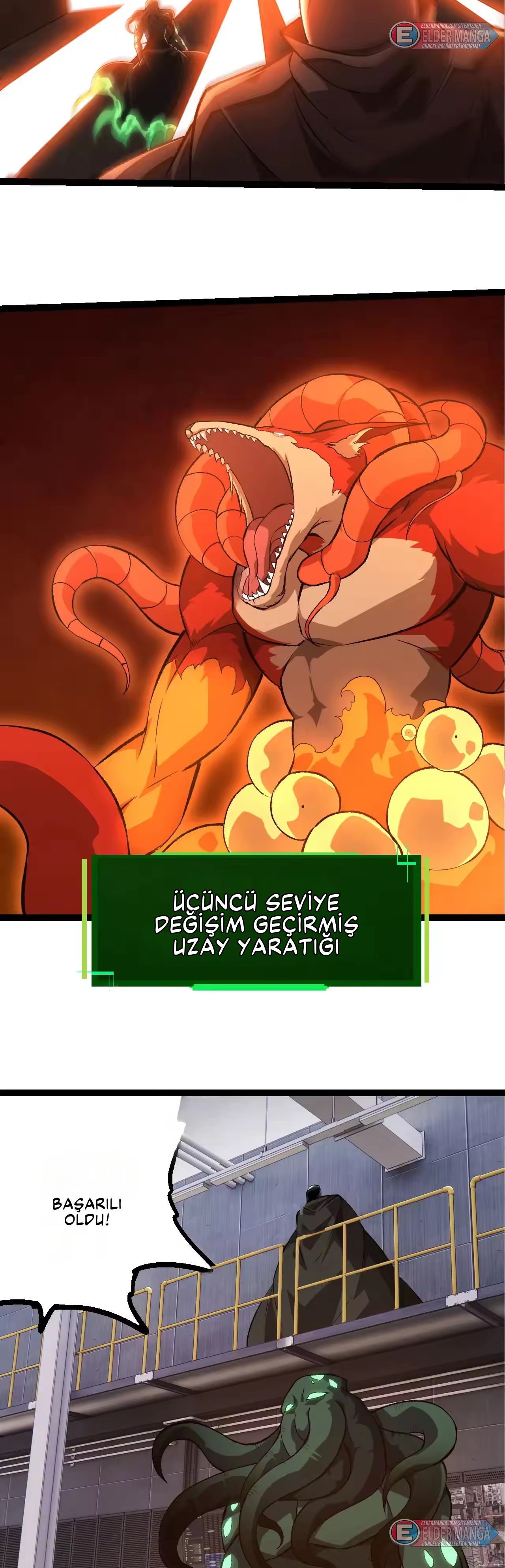 Evrimim Büyük Bir Ağaçla Başladı Bölüm 478 - Sayfa 10