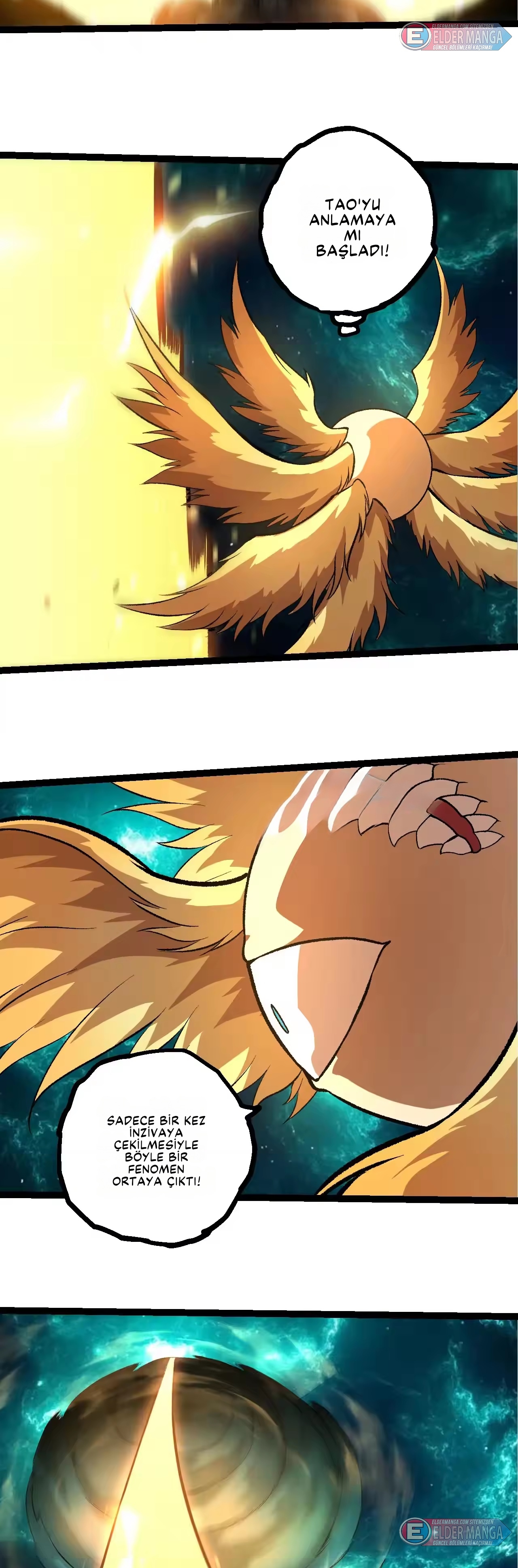 Evrimim Büyük Bir Ağaçla Başladı Bölüm 478 - Sayfa 13