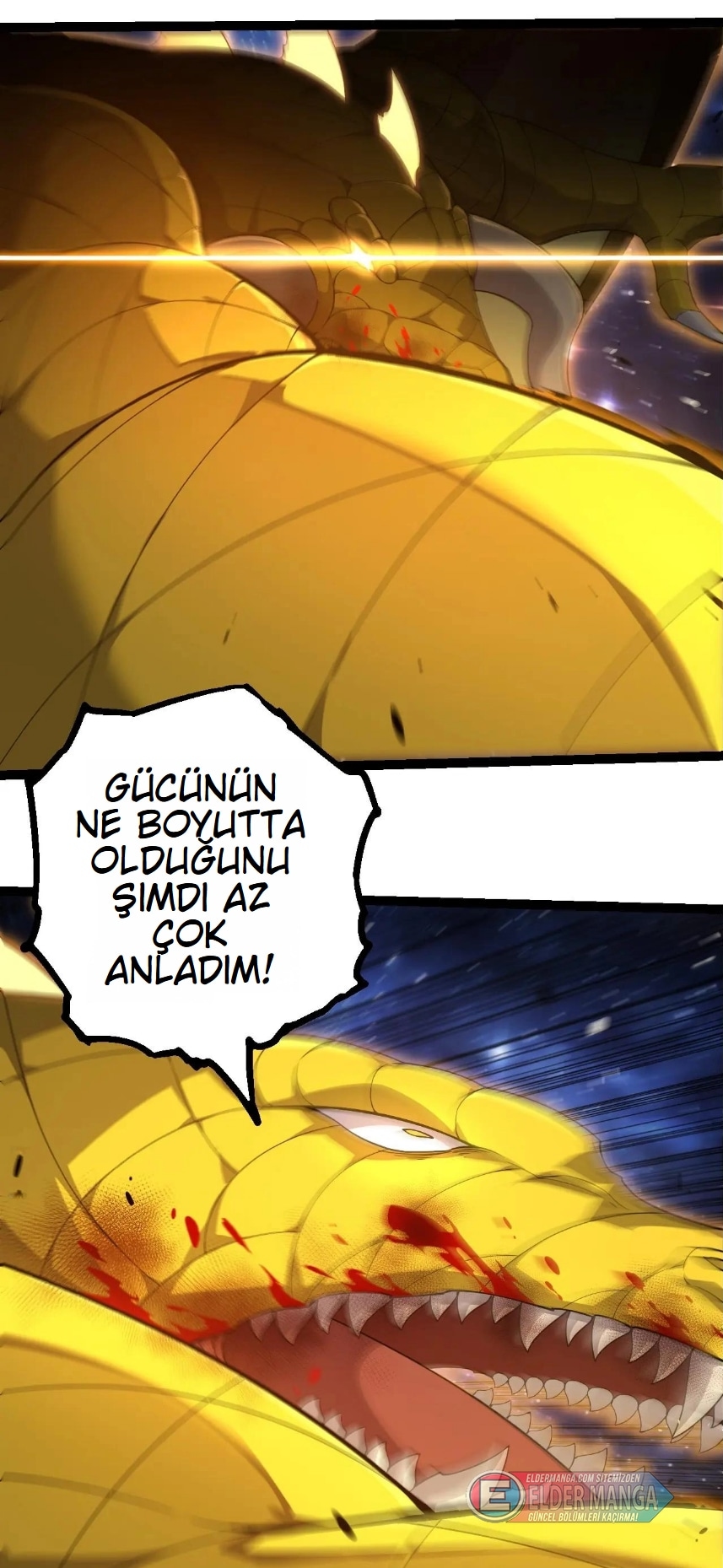 Evrimim Büyük Bir Ağaçla Başladı Bölüm 394 - Sayfa 13