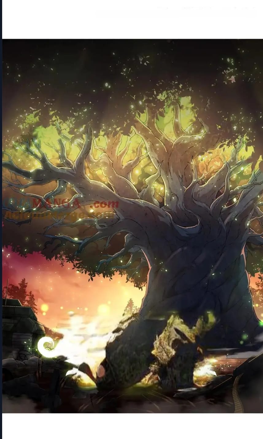 Evrimim Büyük Bir Ağaçla Başladı Bölüm 255 - Sayfa 1