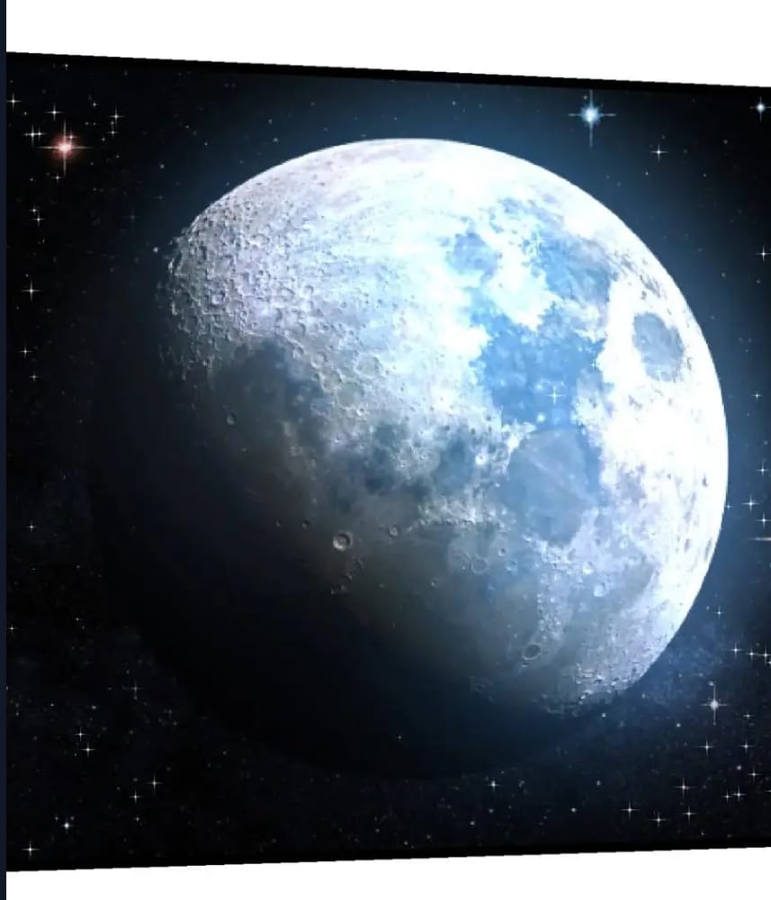 Evrimim Büyük Bir Ağaçla Başladı Bölüm 255 - Sayfa 38