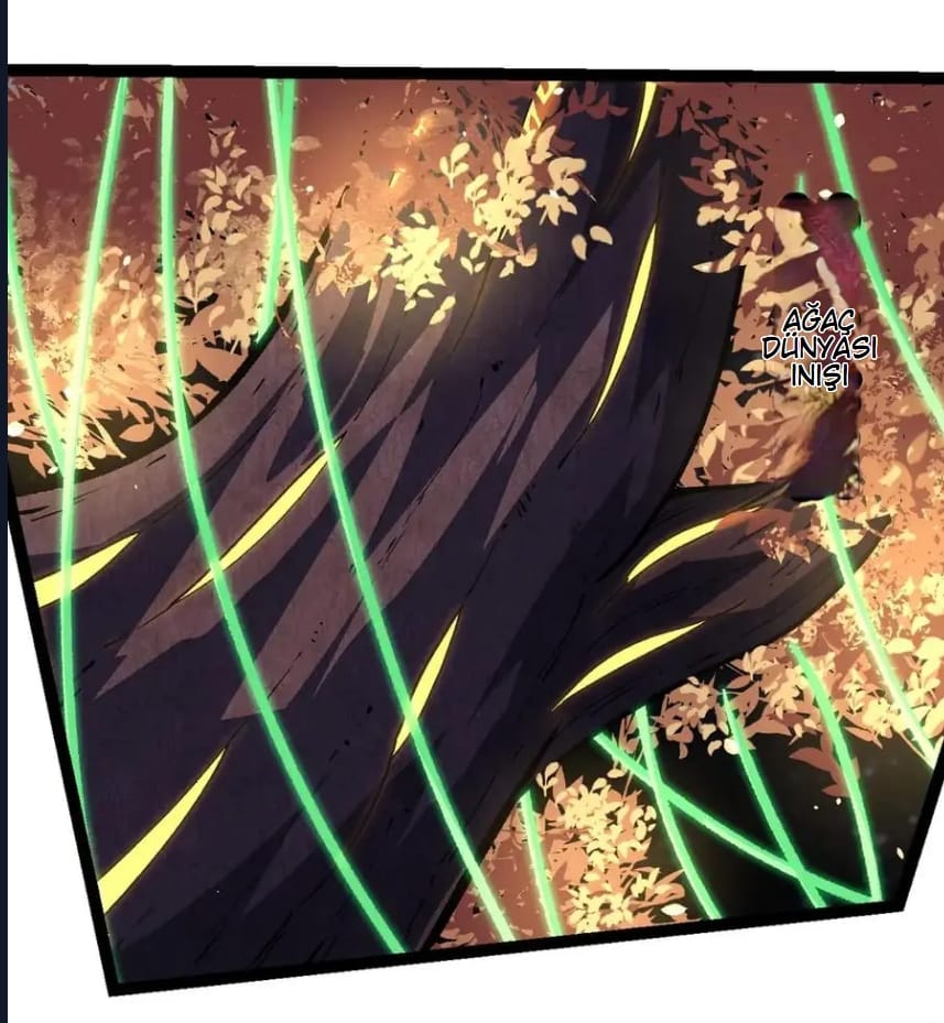 Evrimim Büyük Bir Ağaçla Başladı Bölüm 255 - Sayfa 44