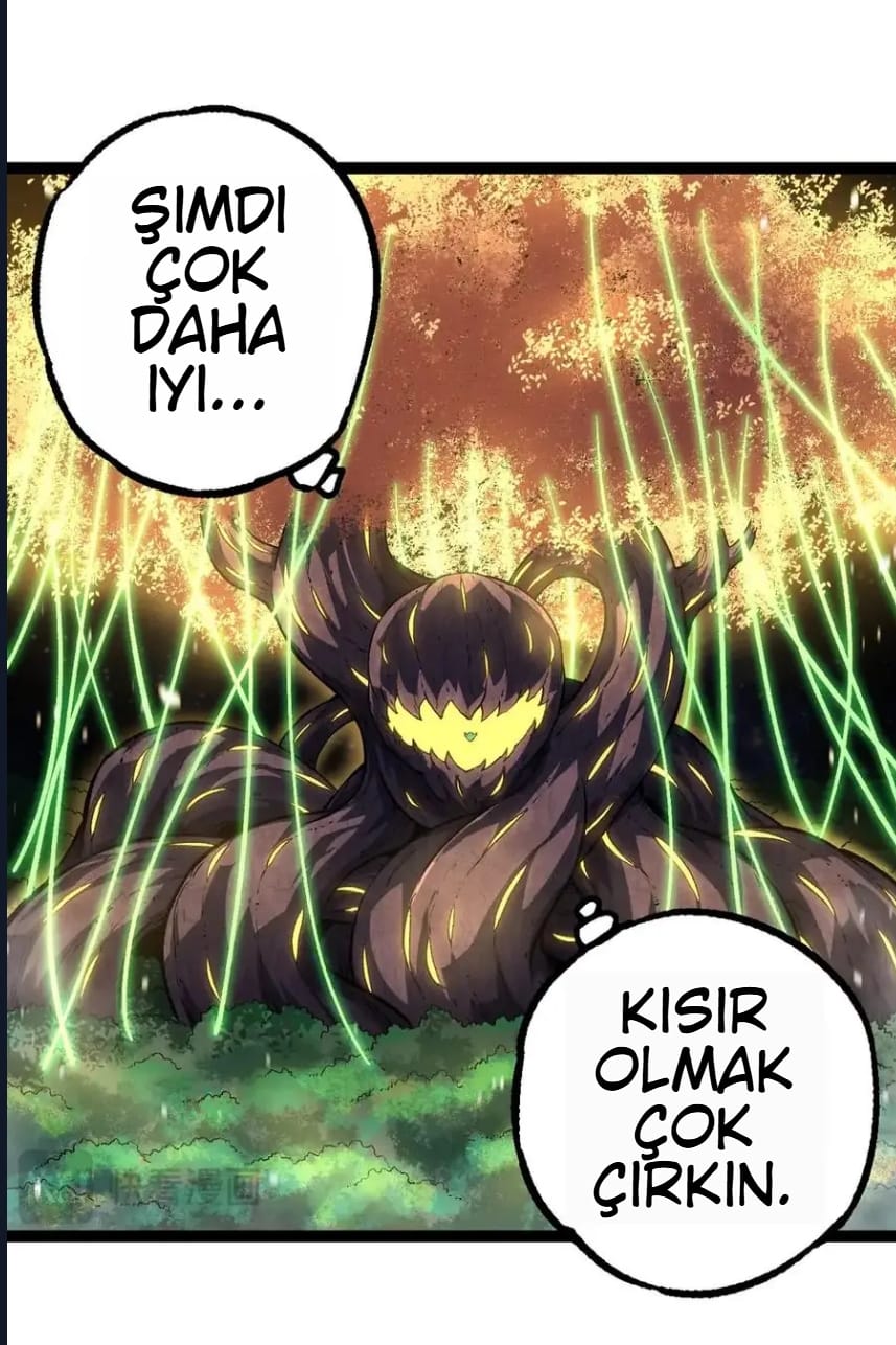 Evrimim Büyük Bir Ağaçla Başladı Bölüm 255 - Sayfa 46