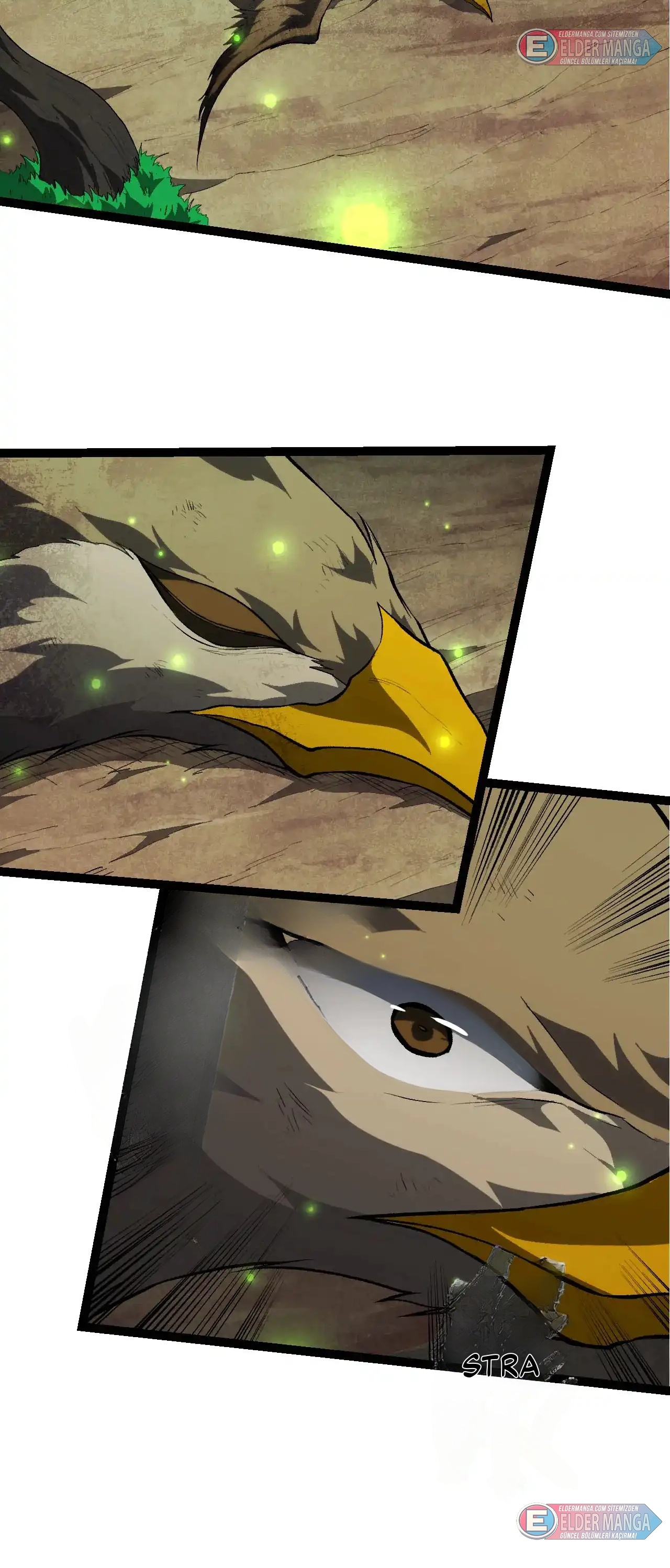 Evrimim Büyük Bir Ağaçla Başladı Bölüm 464 - Sayfa 21