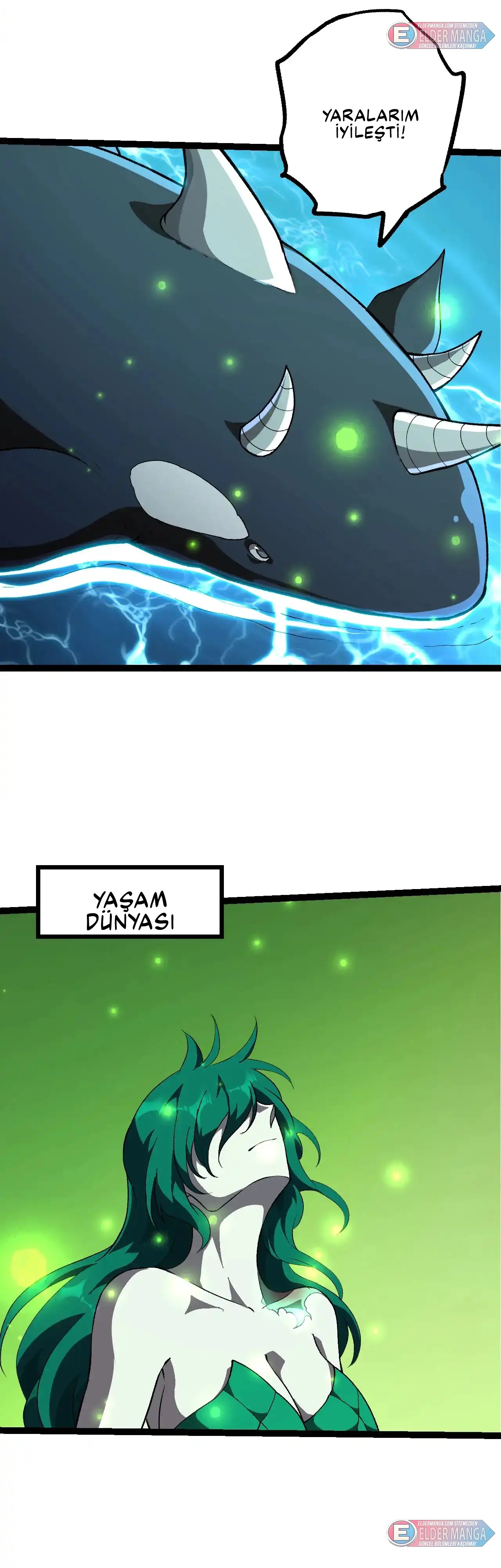 Evrimim Büyük Bir Ağaçla Başladı Bölüm 464 - Sayfa 23