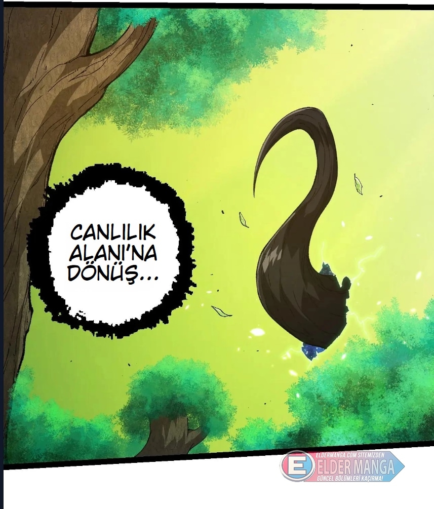 Evrimim Büyük Bir Ağaçla Başladı Bölüm 398 - Sayfa 10